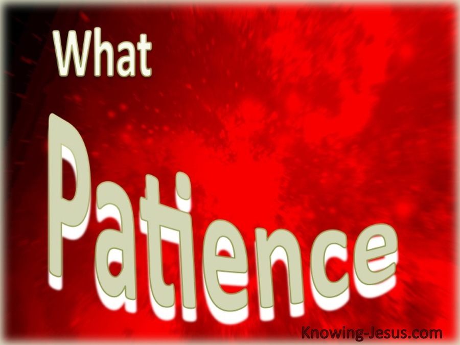 What Patience (red)